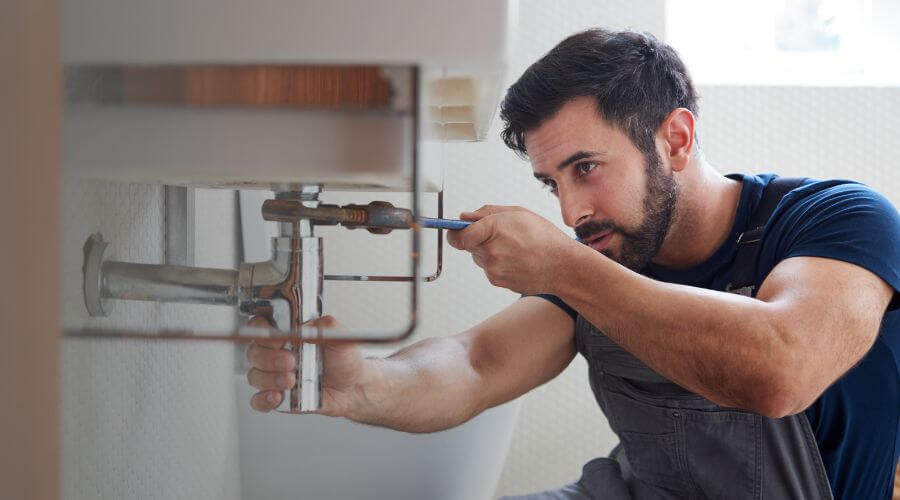 Trap Repair/Replacement in Harrisville, MI